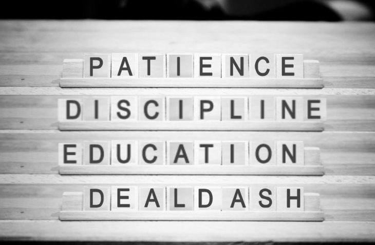 Patience Discipline Education DealDash