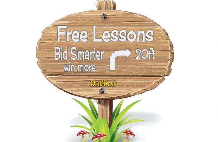Free Bidding Lessons